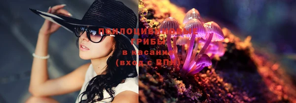 синтетический гашиш Новозыбков