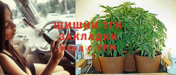a pvp Няндома