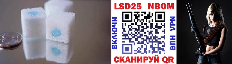 кракен зеркало  Грайворон  ЛСД экстази кислота  где найти  