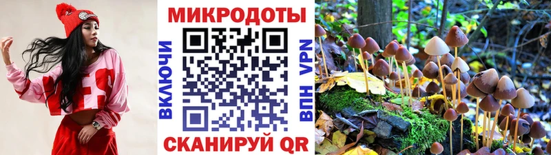 MEGA онион  Грайворон  Псилоцибиновые грибы мухоморы  закладка 